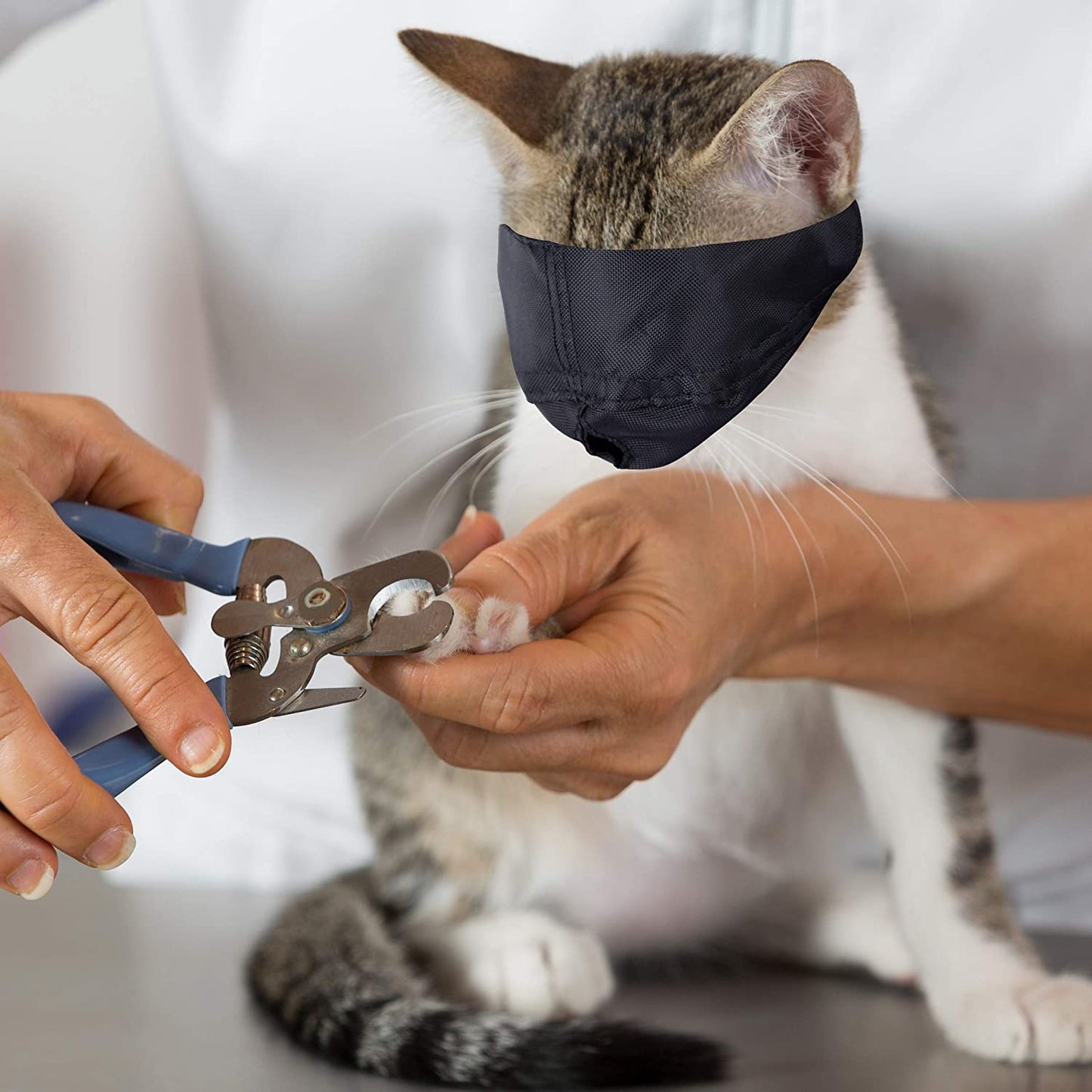 - Cat Muzzle for Grooming - Gentle and Soft Muzzle - Cat Grooming Supplies - Nylon - Small