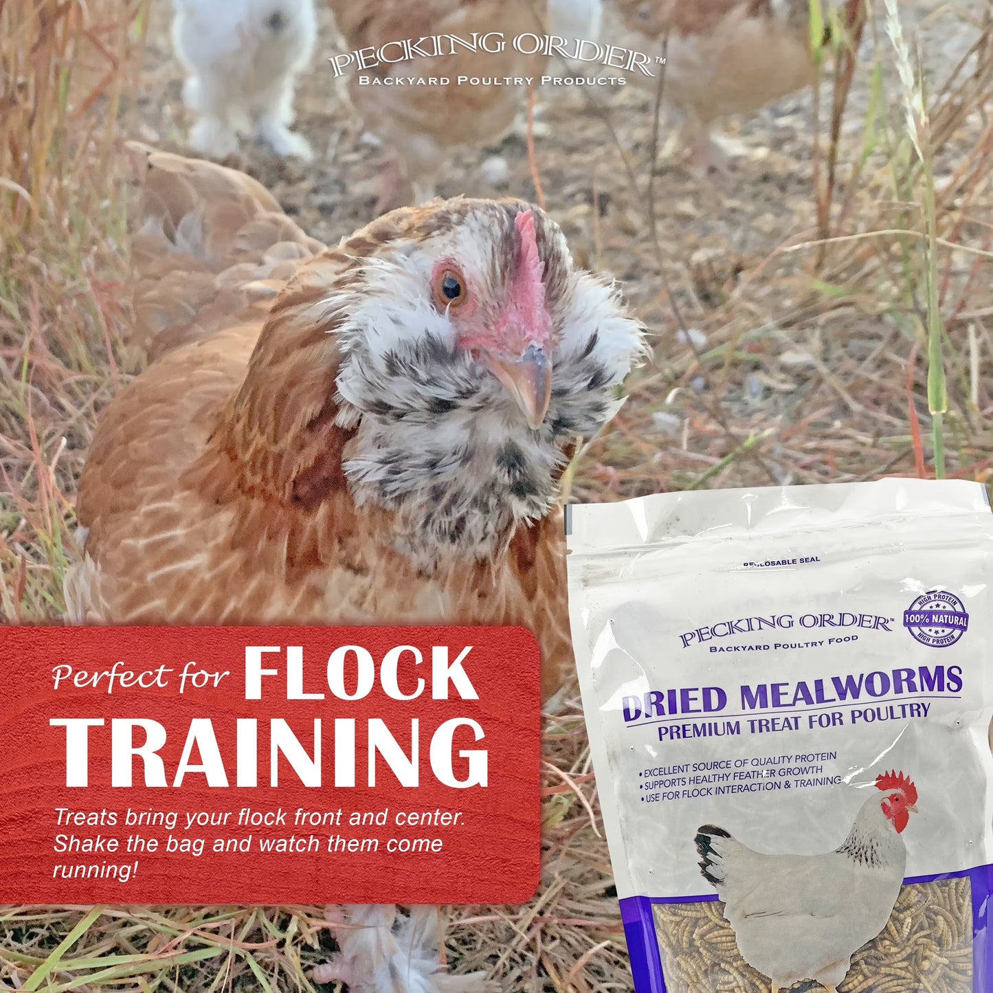 Red River Commodities Dried Mealworms Backyard Chicken Feed & Treat, 10 Oz.