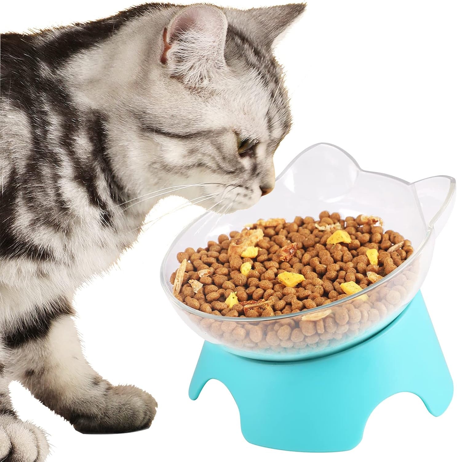 Raised Cat Food Bowls with Stand, Dishes for Food or Water, Tilted Bowl, Pet Dish with Stand (Arcuation-Bule)