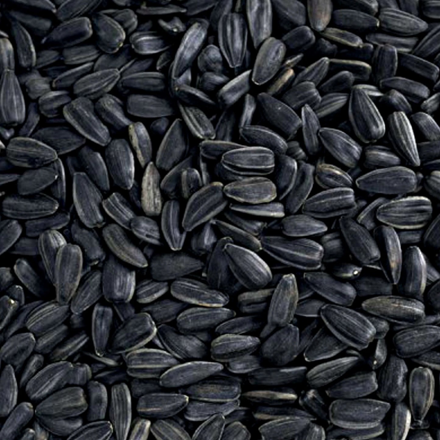 Sunflower Seeds 14 Lb No Grow Birdseed, Wild Bird Food. Dry, New