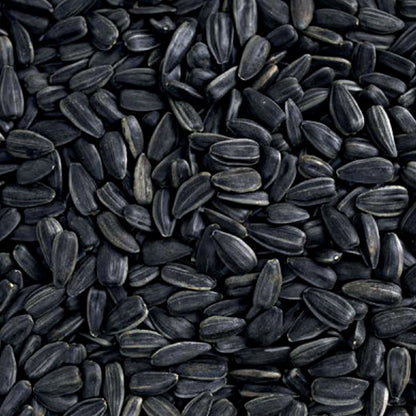 Sunflower Seeds 14 Lb No Grow Birdseed, Wild Bird Food. Dry, New