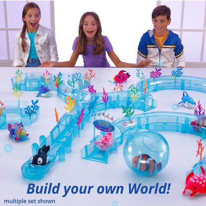 Aquarium Starter Set with Exclusive Fish!