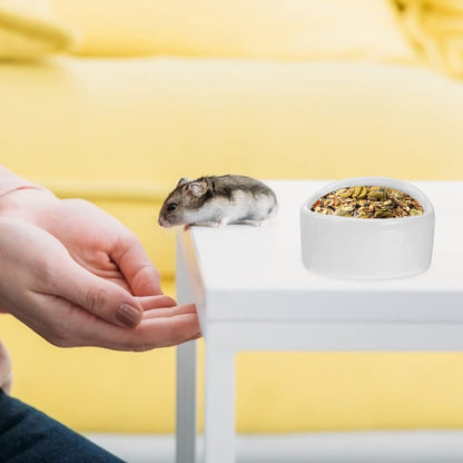 Ceramic Hamster Feeding Bowls, Small Animal Food Bowl Water Feeder for Hedgehog Guinea-Pig Gerbil (Random Color)