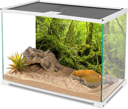 60X24 Inches Terrarium Background Tropical Rainforest Reptile Habitat Background Green Huge Tree Stone Forest Aquarium Background