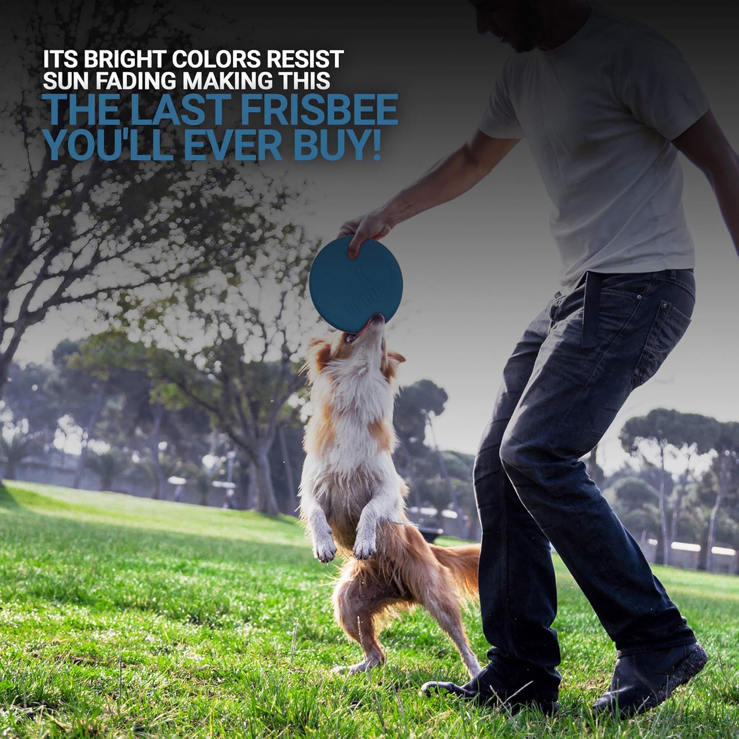 Dog Frisbee | Made in USA |  Small 6-Inch Flying Disc for Dogs (Blue)