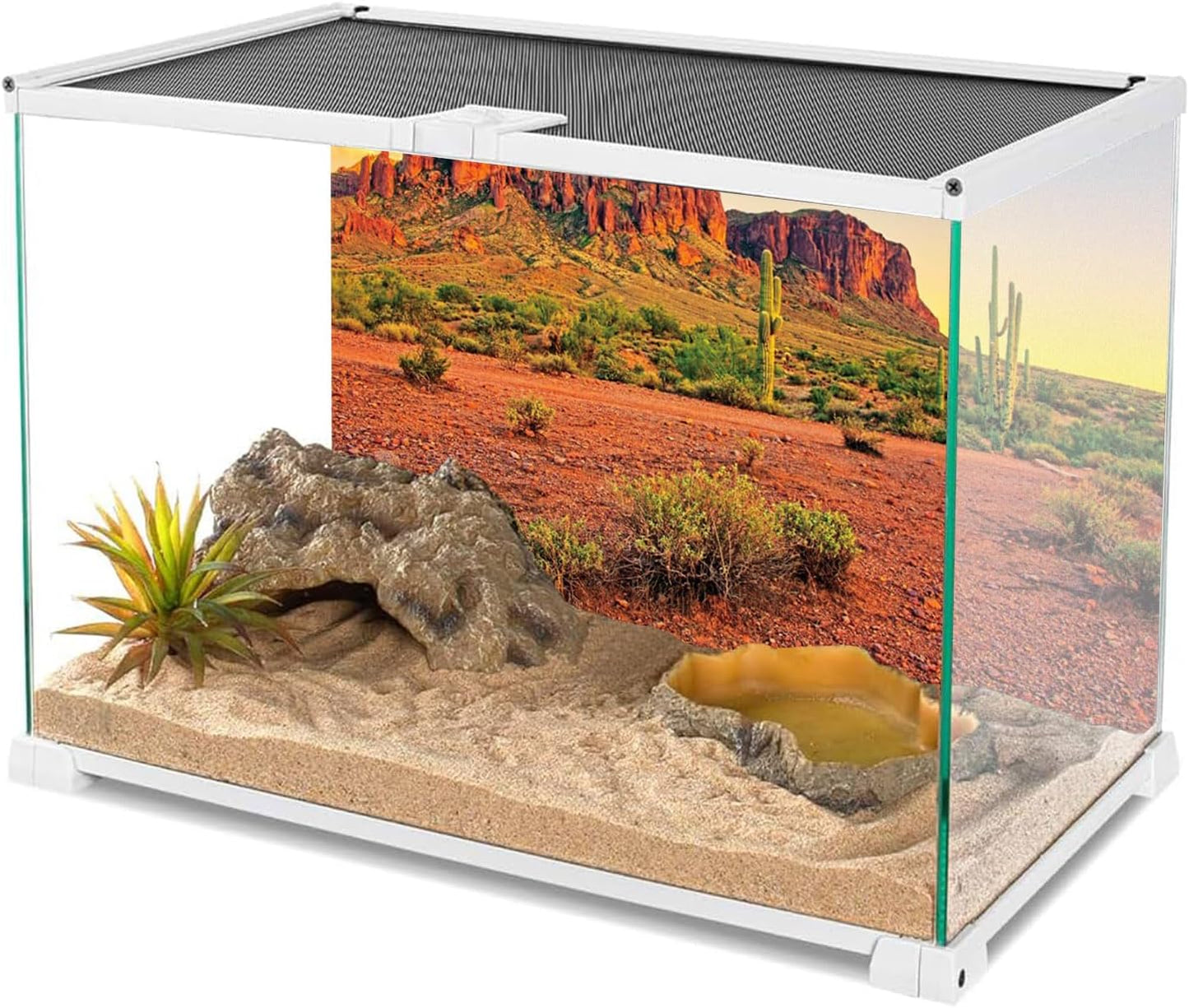 48X24 Inches Reptile Habitat Background Sky Oasis Mountain Cactus Sun and Desert Terrarium Background Durable Polyester Background