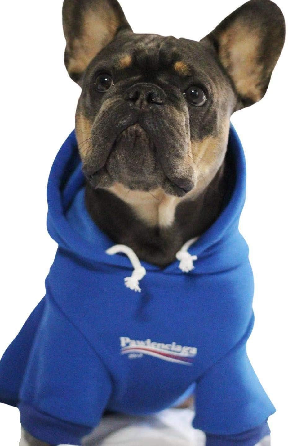 Stylish Streetwear Blue Dog Sweatshirt Tracksuits, Cats Hoodies, Dog Outfit for Cat Puppy Small Medium (L)