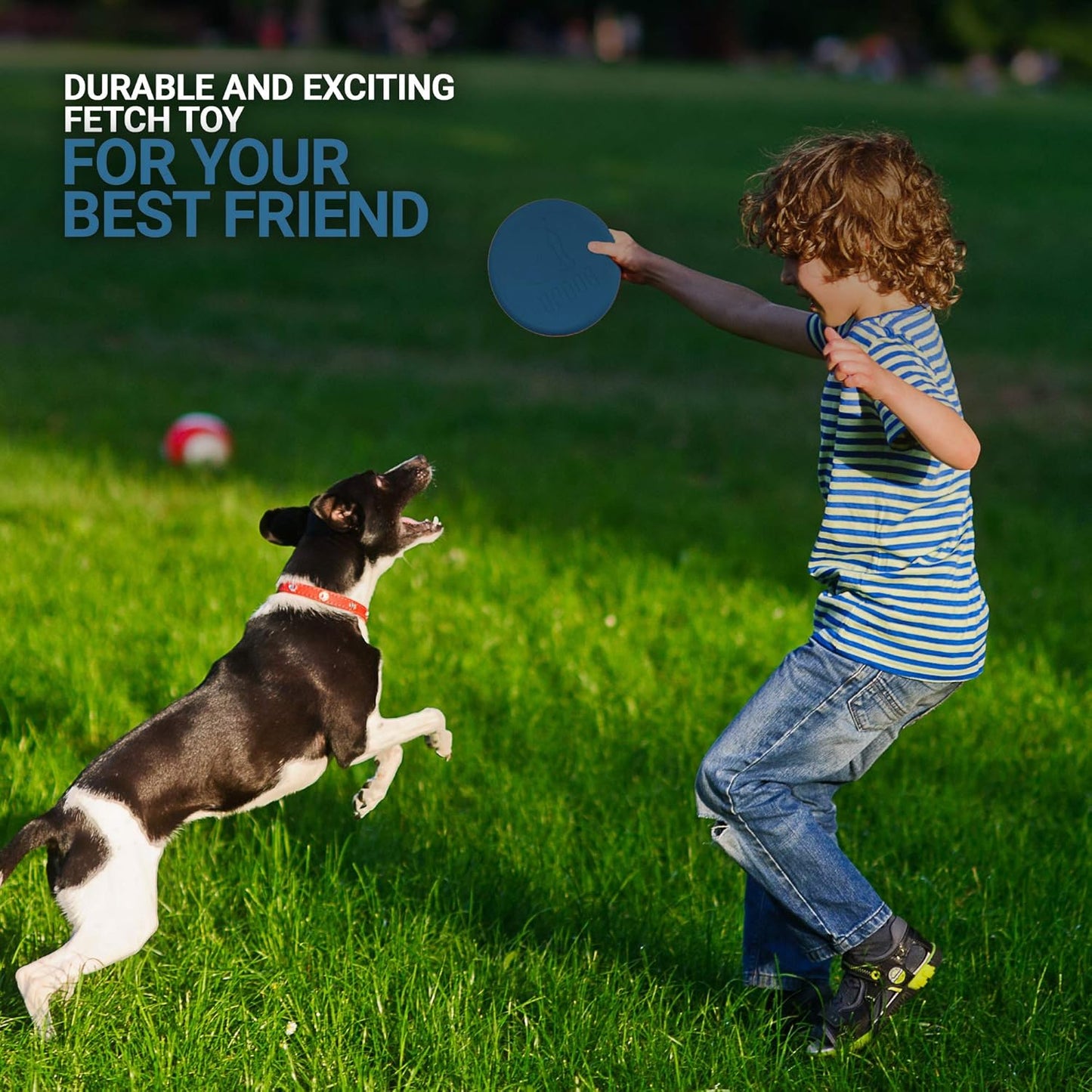 Dog Frisbee | Made in USA |  Small 6-Inch Flying Disc for Dogs (Blue)