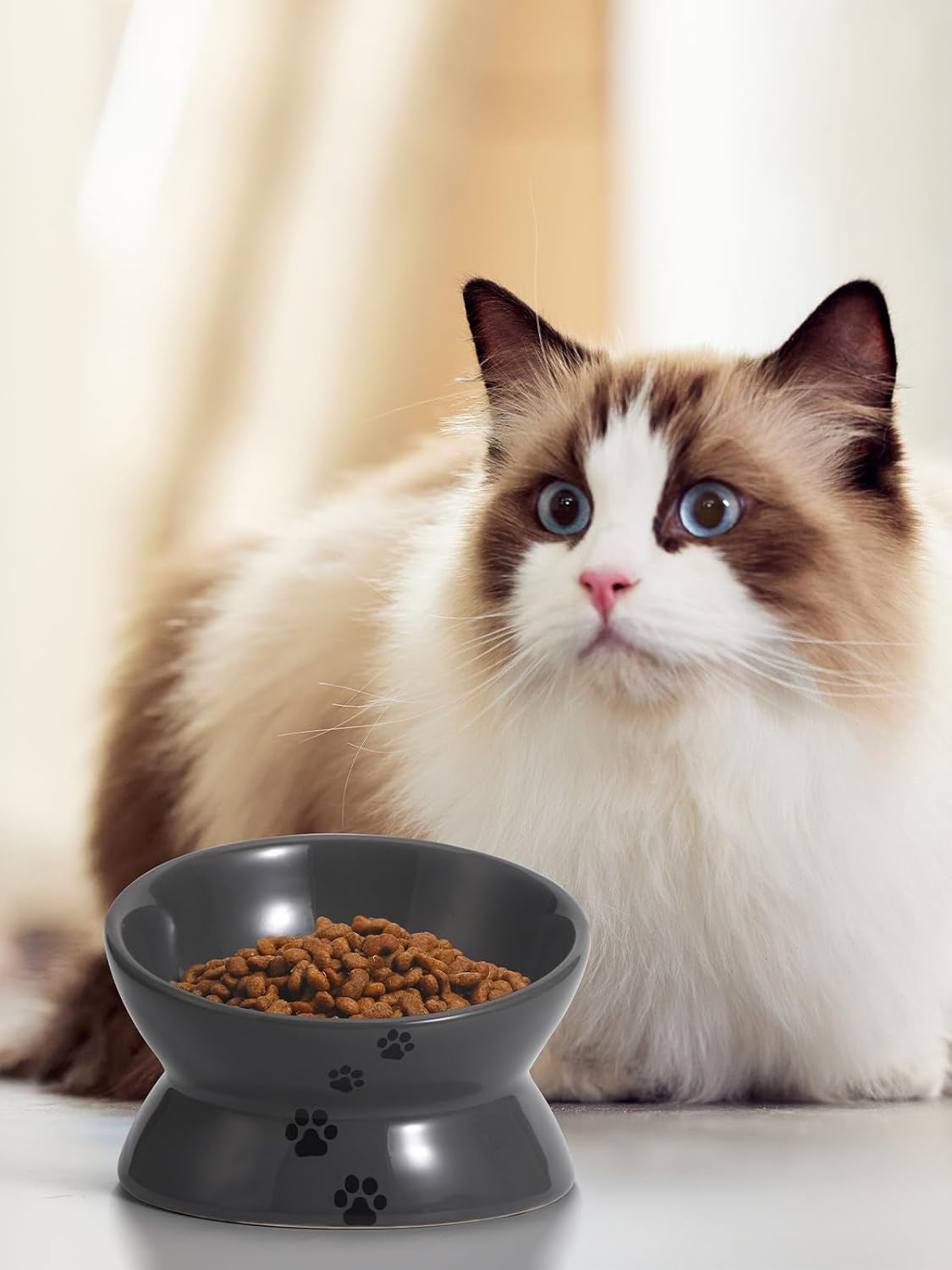 Raised Cat Food Bowl, Ceramic Elevated Bowl, Protects Cat'S Spine, anti Vomiting, Backflow Prevention, Grey