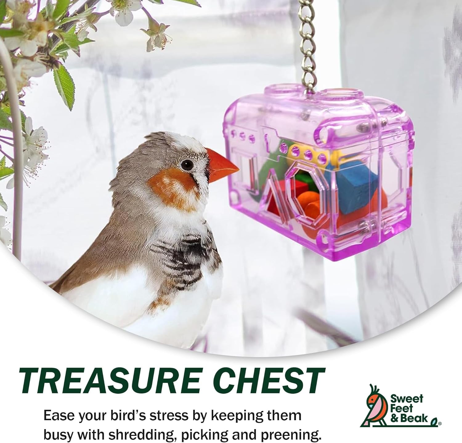 Large or Small Treasure Chest - Perfect Bird Cage Toy Colorful, Safe, Easy to Install - Washable, Refillable, Non-Toxic, Foraging Box - Cage Accessories