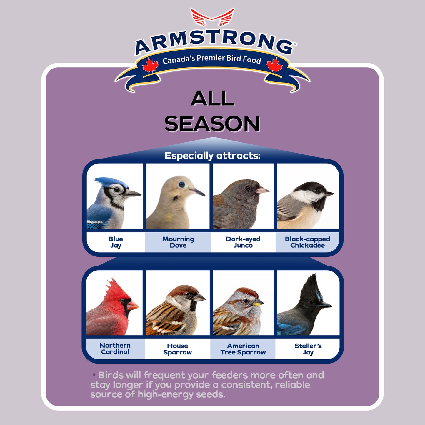 Armstrong Wild Bird Food All Season Bird Seed Blend, 20Lb, High Energy Diet