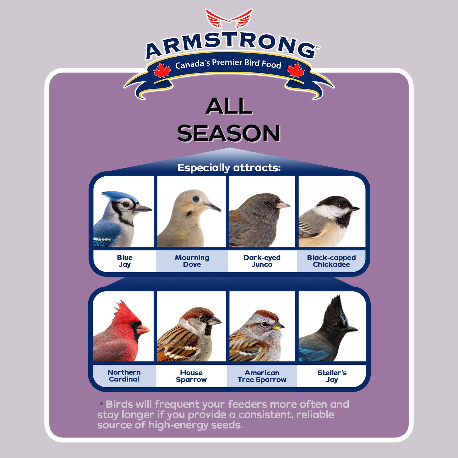 Armstrong Wild Bird Food All Season Bird Seed Blend, 20Lb, High Energy Diet