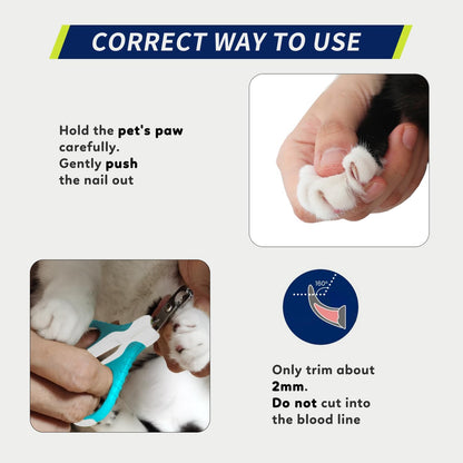 Professional Pet Nail Clippers - Ergonomic Bended Scissors for Cats, Dogs, Kittens & Small Animals - Stylish White & Pine Green Design