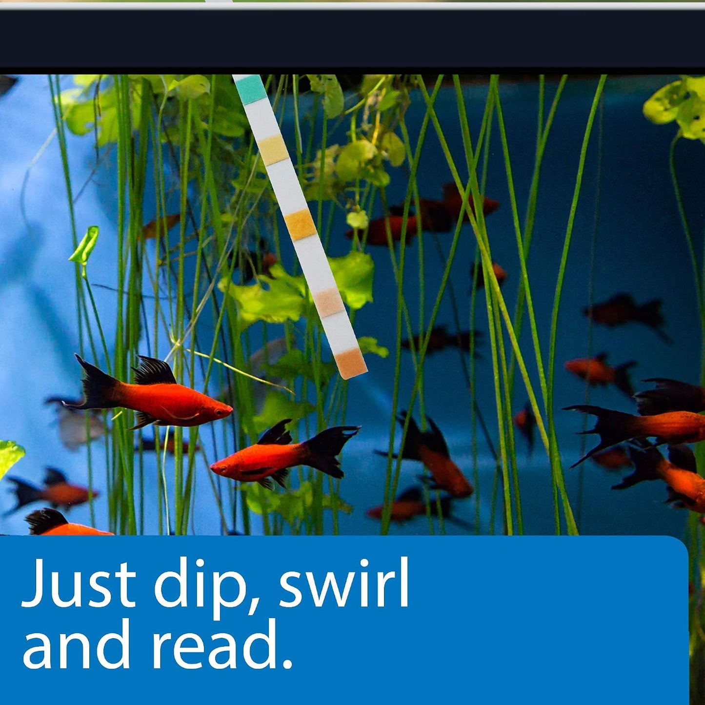 5-IN-1 TEST STRIPS Freshwater and Saltwater Aquarium Test Strips 100-Count Box