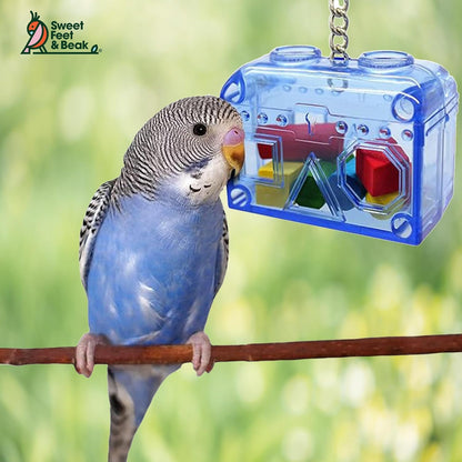 Large or Small Treasure Chest - Perfect Bird Cage Toy Colorful, Safe, Easy to Install - Washable, Refillable, Non-Toxic, Foraging Box - Cage Accessories