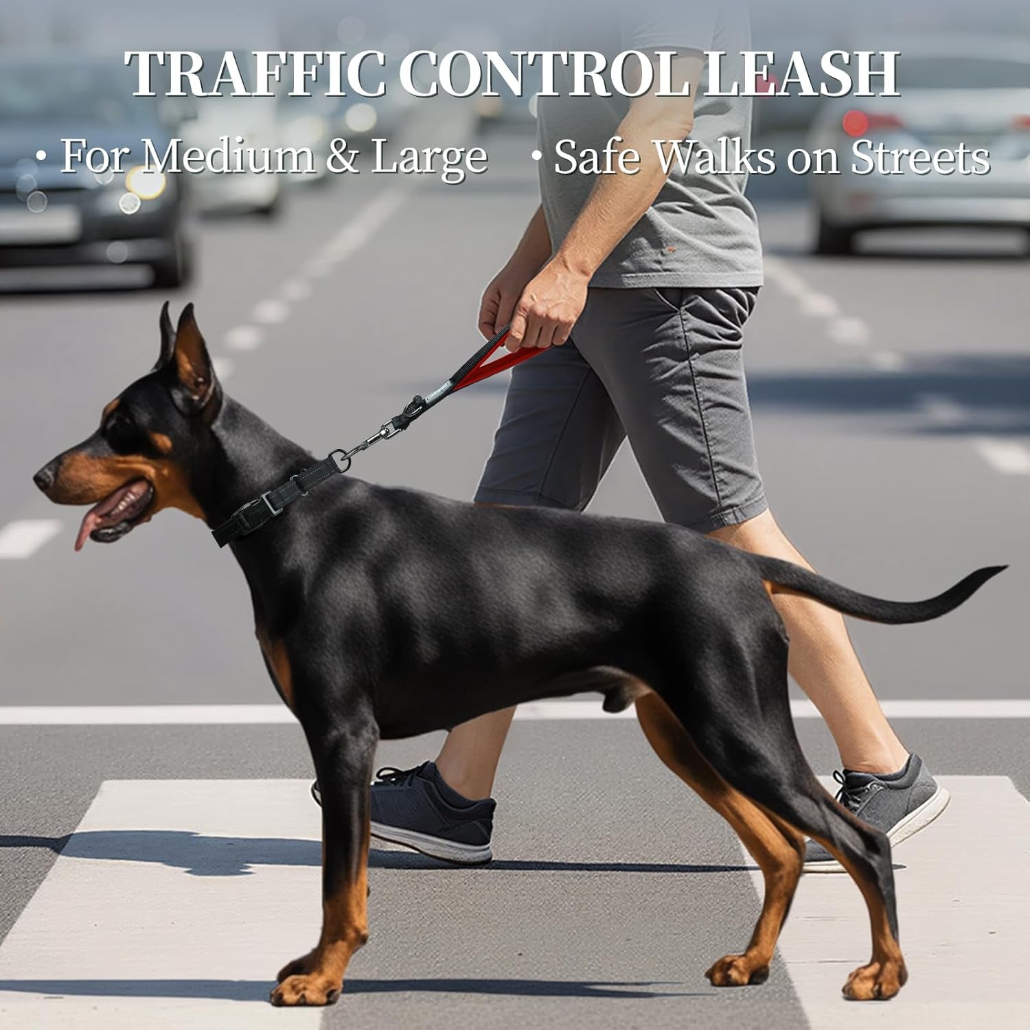 Short Dog Leash Closerok Traffic Leash for Dog with Soft Padded Handle for Training & Walking, Padded Neoprene & Heavy Duty, 12Inch, Black/Red
