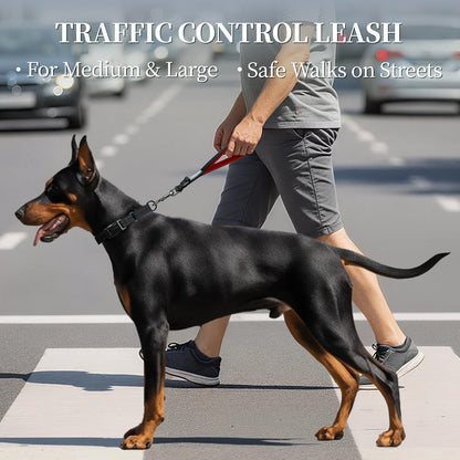 Short Dog Leash Closerok Traffic Leash for Dog with Soft Padded Handle for Training & Walking, Padded Neoprene & Heavy Duty, 12Inch, Black/Red