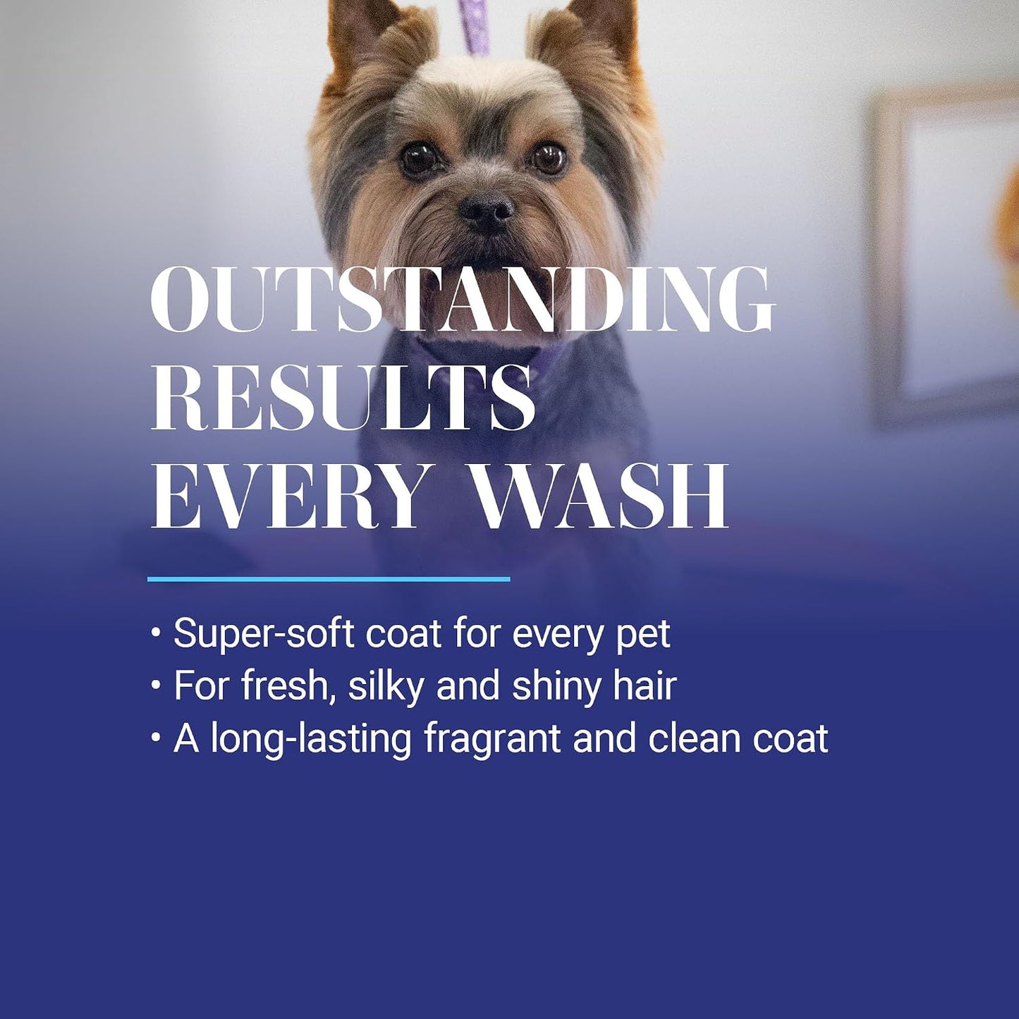 Smartwash50 Ultra Concentrated Dog Shampoo, Makes up to 50 Bottles, Groom like a Professional, Delightfully Fragranced, Suitable for All Coats, Made in the USA (Papaya - Starfruit)