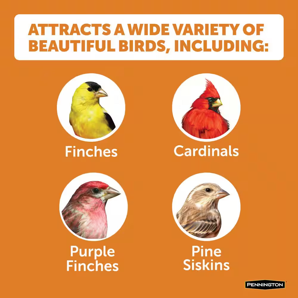 Premium 10 Lb. Wild Finch Bird Seed Food (2-Pack)