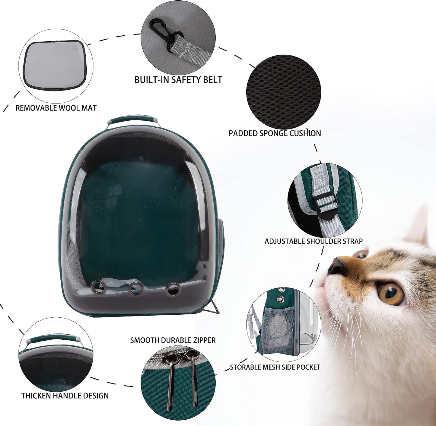 Cat Backpack Bubble Carriers, Airline-Approved Ventilate Transparent Capsule Hands-Free Pet Backpack, for Cats Puppies Travelling Hiking Camping & Outdoor Use (Green)