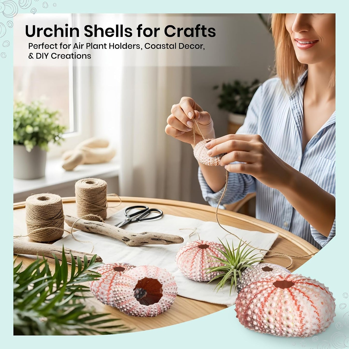 Sea Urchins Shells for Air Plants - 5 Pink (1-2") Sea Urchin Shells - Hanging Air Plant Holder - Air Plants Live Holders - No Plants Included