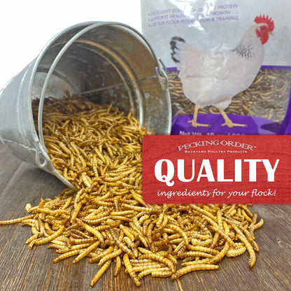 Red River Commodities  Dried Mealworms Backyard Chicken Feed & Treat, 10 Oz.