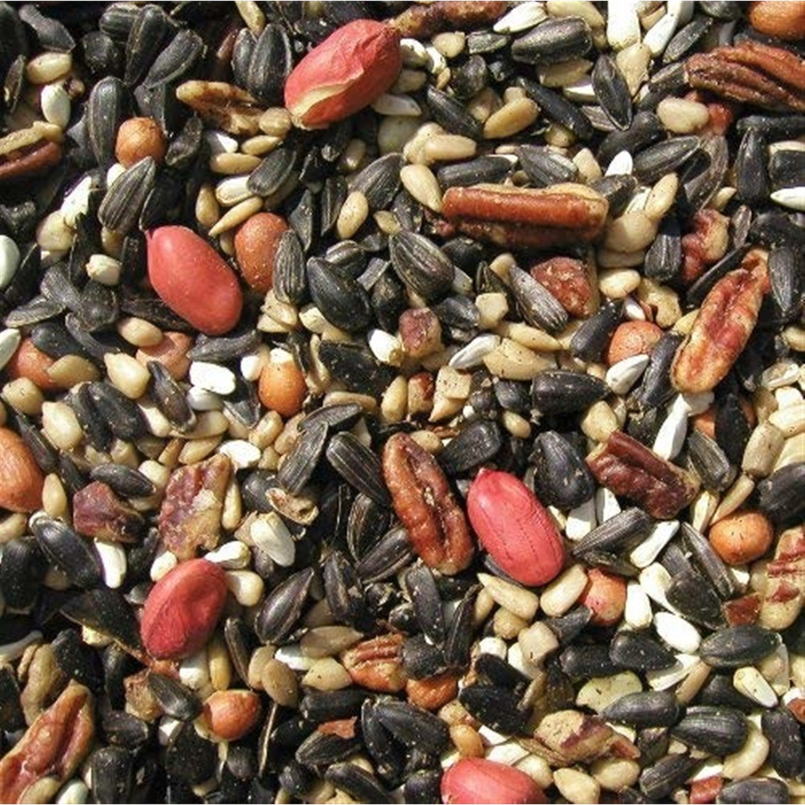 Cole’S Special Feeder Wild Bird Seed — Premium High-Energy Blended Mix — 20Lb