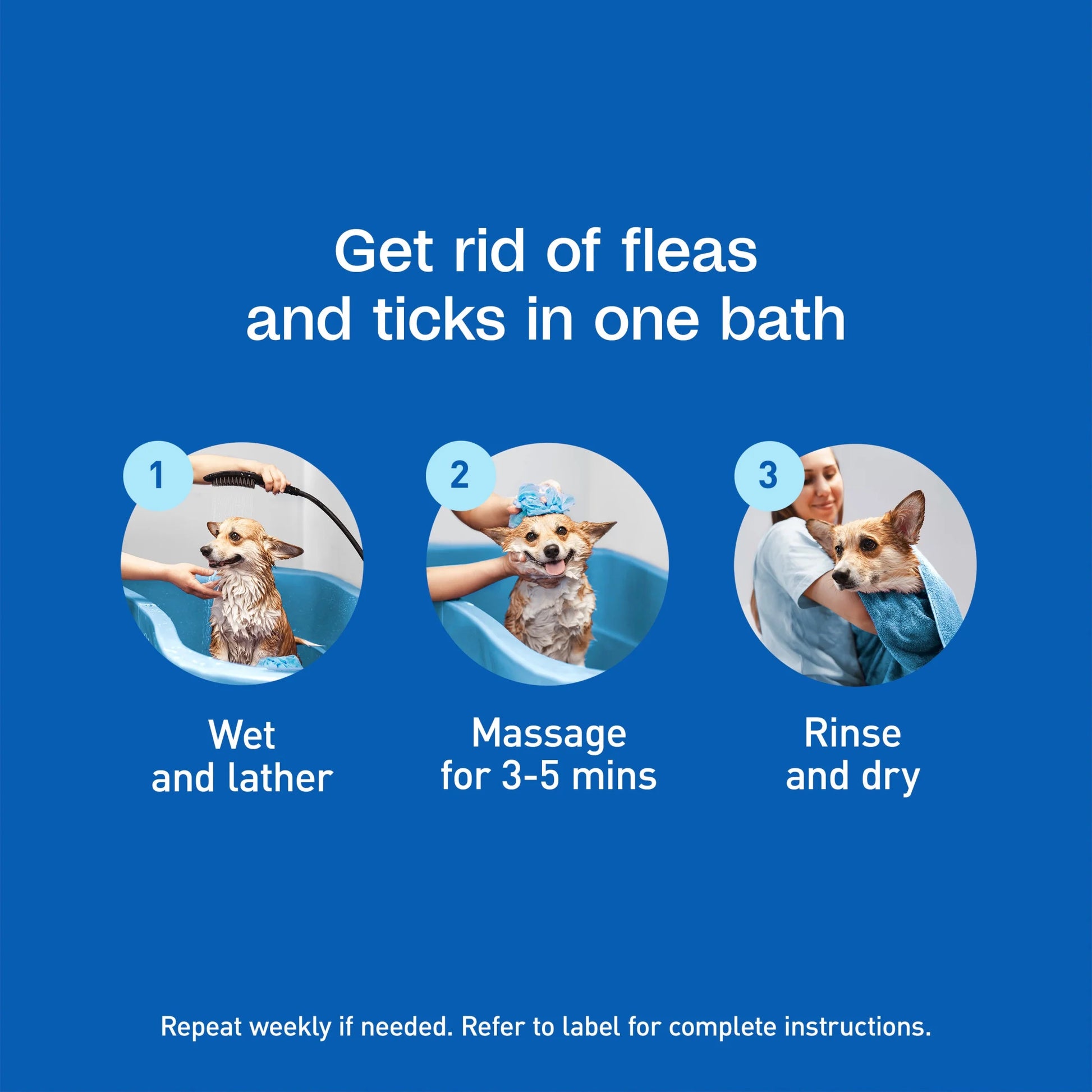 (2 Pack)  plus Flea & Tick Foaming Shampoo & Wash for Dogs & Puppies, Flea Shampoo to Treat Flea Infestations, Kills Ticks, Fleas, Flea Eggs & Lice, Cleans and Conditions Coat, 10 Fl Oz
