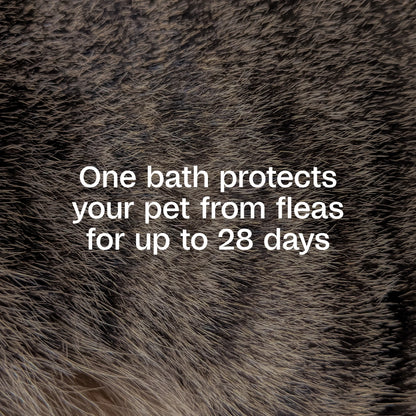 (2 Pack)  plus Flea & Tick Foaming Shampoo & Wash for Dogs & Puppies, Flea Shampoo to Treat Flea Infestations, Kills Ticks, Fleas, Flea Eggs & Lice, Cleans and Conditions Coat, 10 Fl Oz
