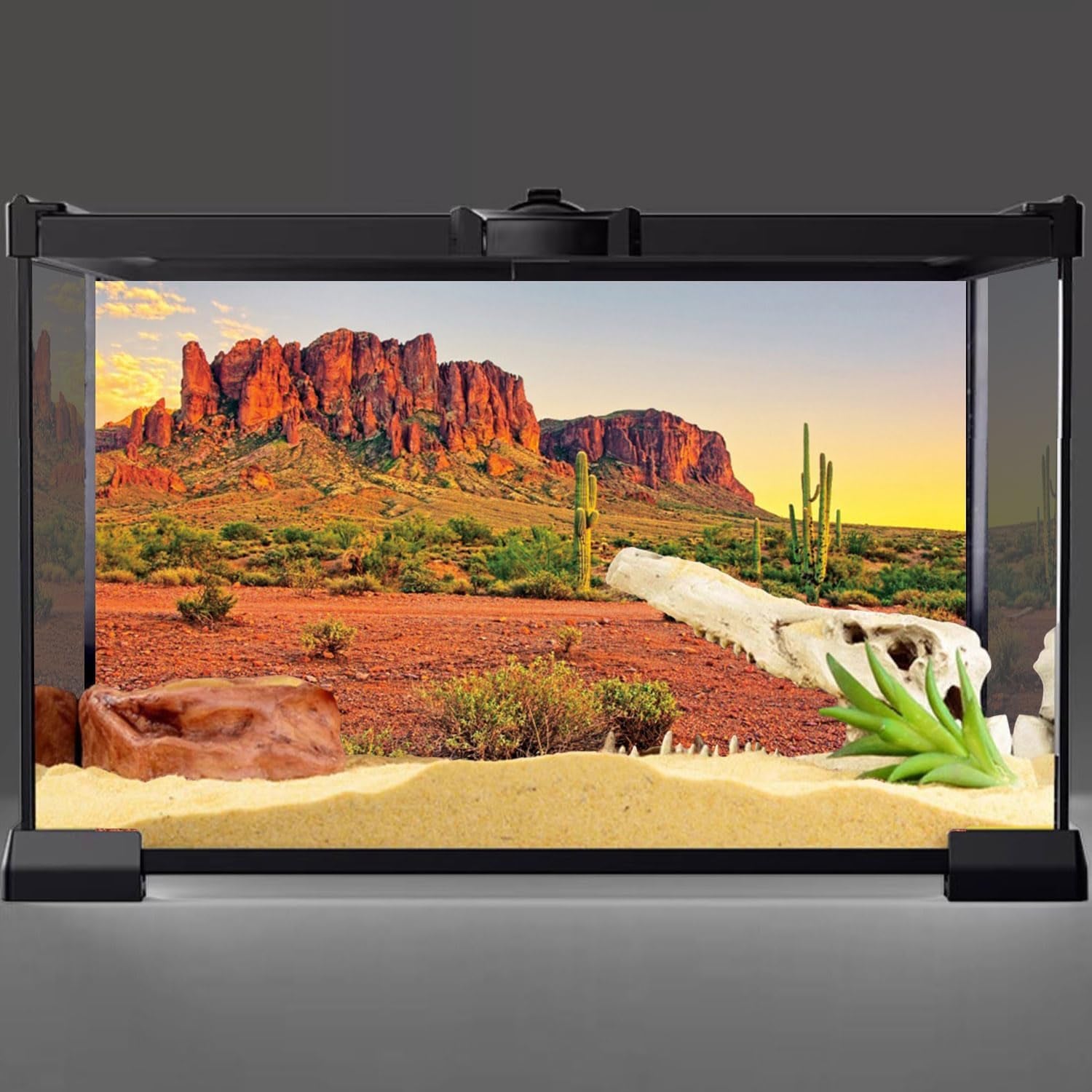 48X24 Inches Reptile Habitat Background Sky Oasis Mountain Cactus Sun and Desert Terrarium Background Durable Polyester Background