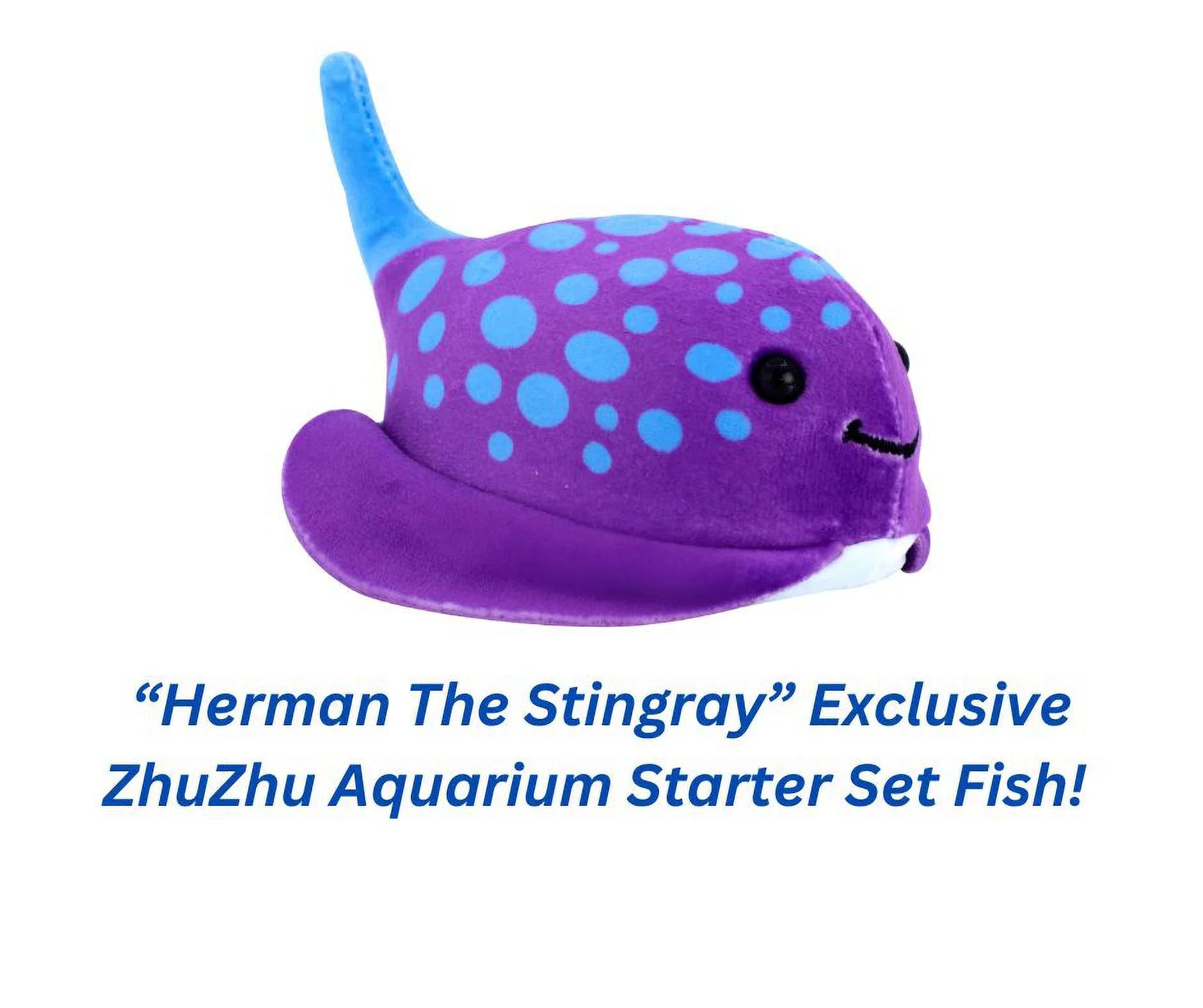 Aquarium Starter Set with Exclusive Fish!