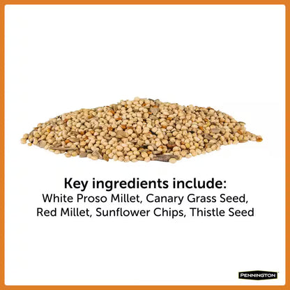 Premium 10 Lb. Wild Finch Bird Seed Food (2-Pack)