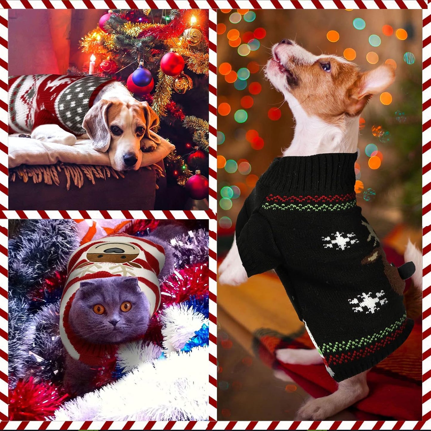 4 Pieces Christmas Dog Sweaters Halloween Puppy Holiday Sweaters Santa Reindeer Snowman Snowflake Pumpkin Pet Clothes for Xmas Dog Cat Costume(Medium,Cute Pattern)