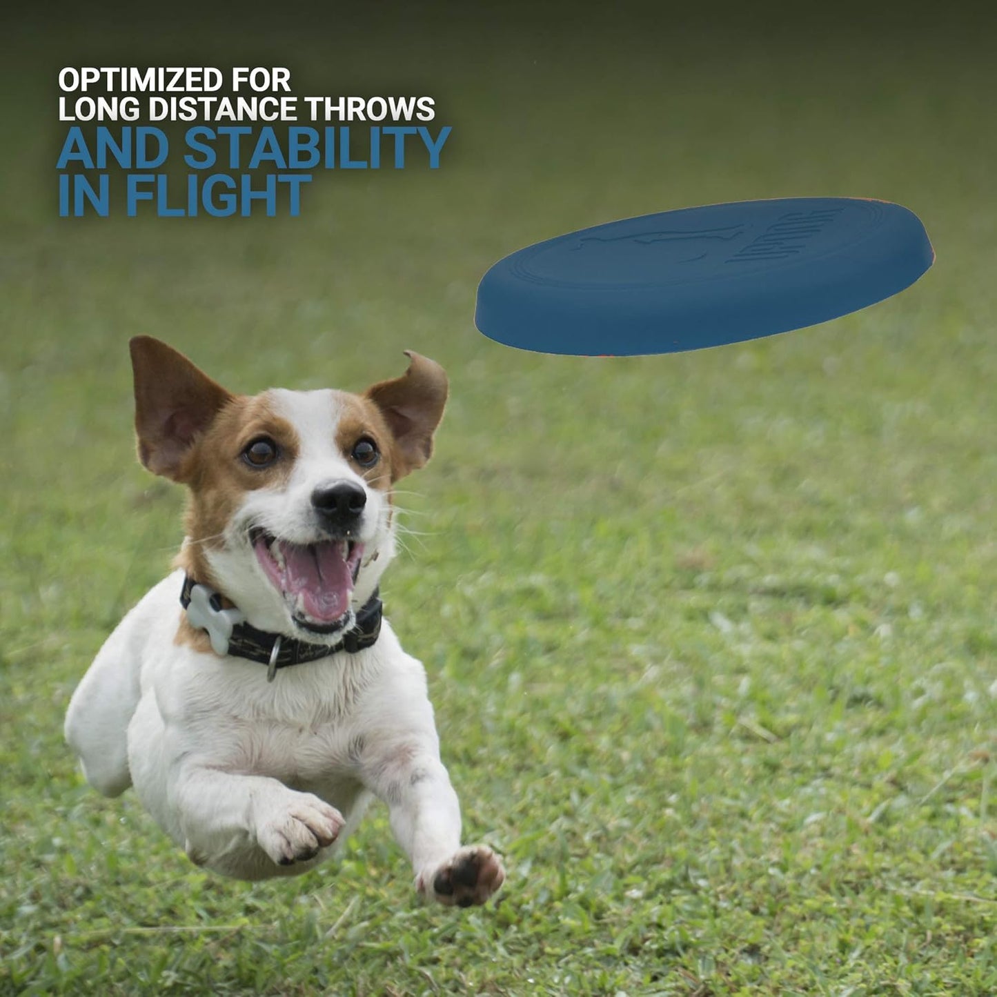 Dog Frisbee | Made in USA |  Small 6-Inch Flying Disc for Dogs (Blue)