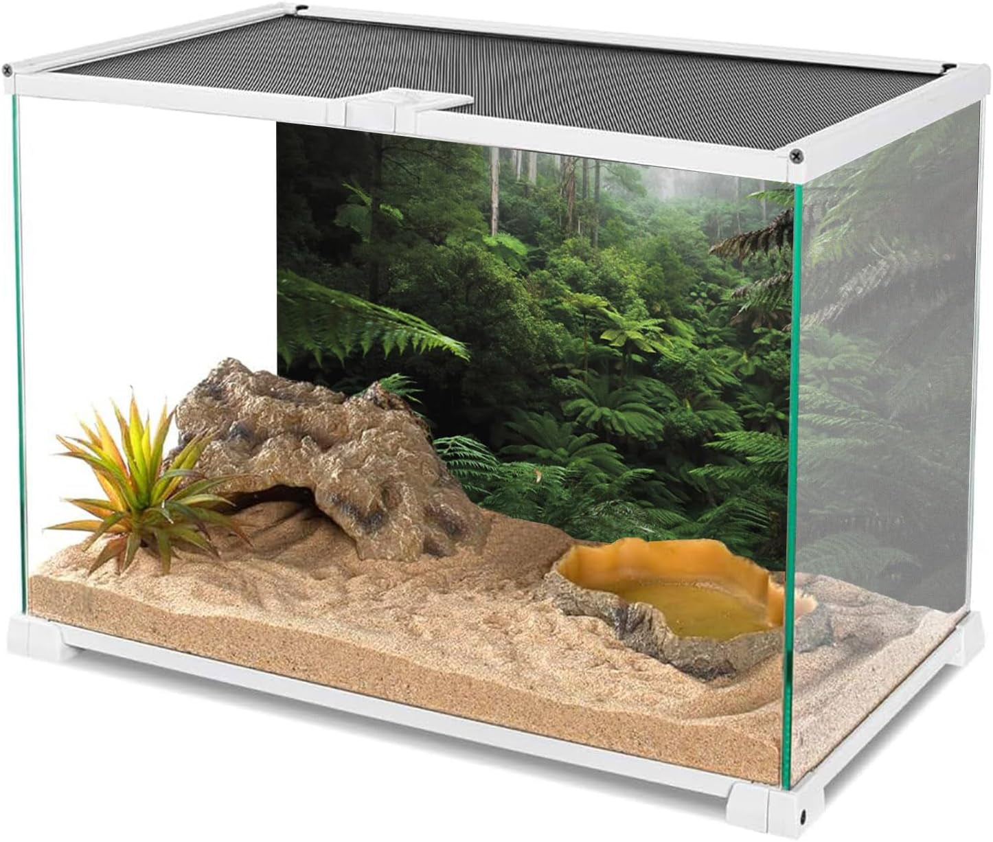 Foggy Forest Terrarium Background Green Tree Reptile Habitat Background Tropical Rainforest Aquarium Background 48X24 Inches