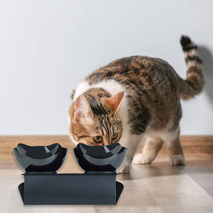 Cat Food Bowls Elevated Cat Bowls Tilted 15° Plastic Cat Dishes Double Raised Cat Bowl with Non-Slip Rubber Base Stand for Cats (Black)