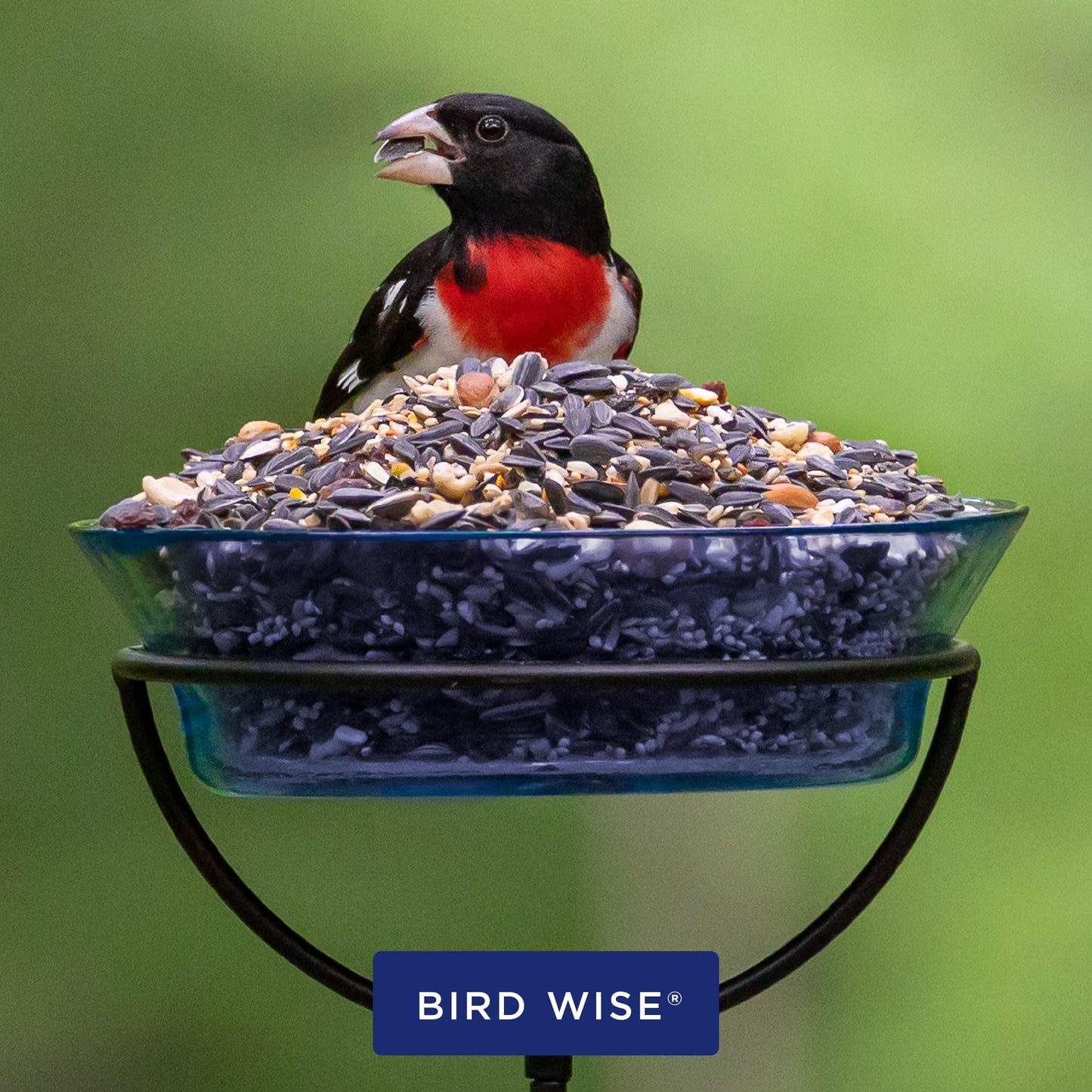 Extreme Variety Wild Bird Food, Dry, 15 Lbs., 1 Count per Pack