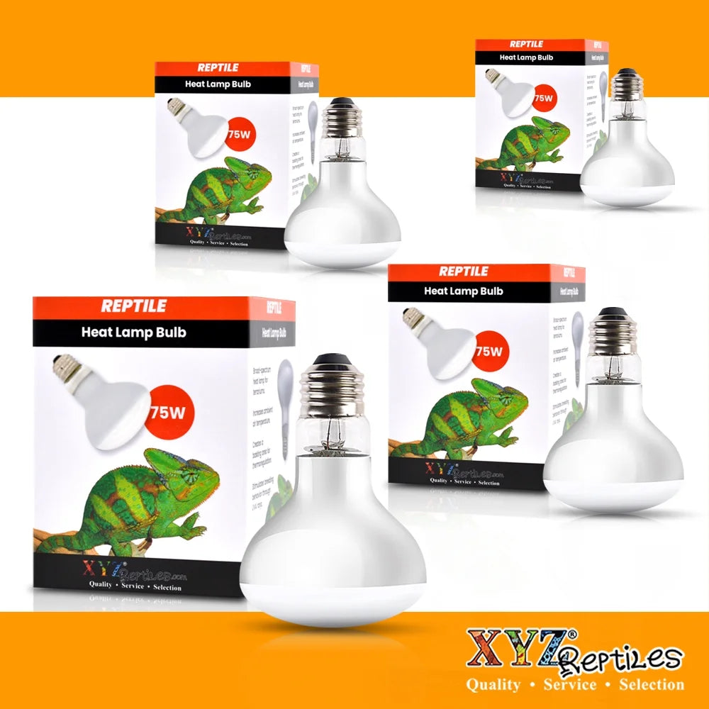 75 Watt Reptile Heat Lamp Bulb