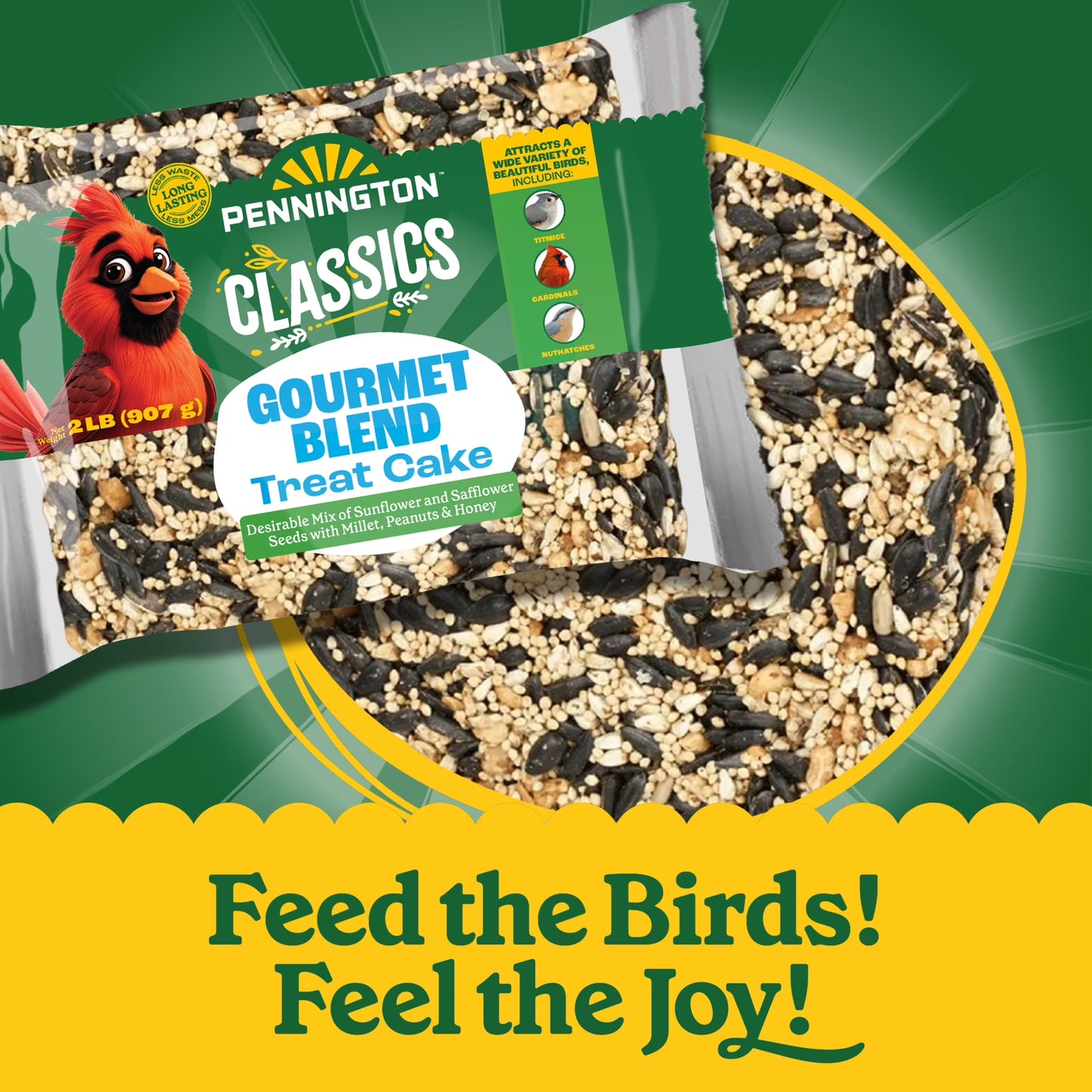 Premium Gourmet Wild Bird Seed Cake, Bird Food, 2 Lb, 1 Pack, Dry