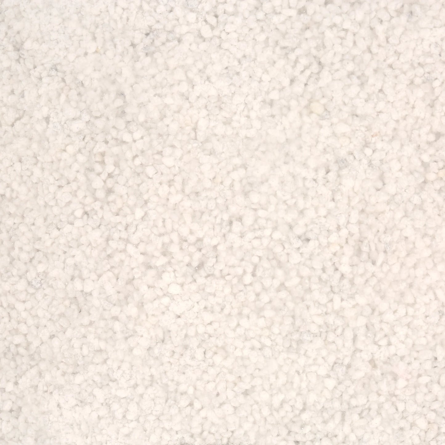 Repterra White Reptile Sand 5 Lb Bag