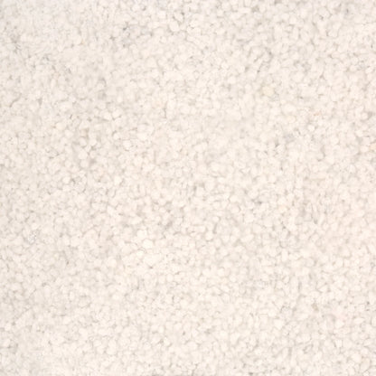 Repterra White Reptile Sand 5 Lb Bag