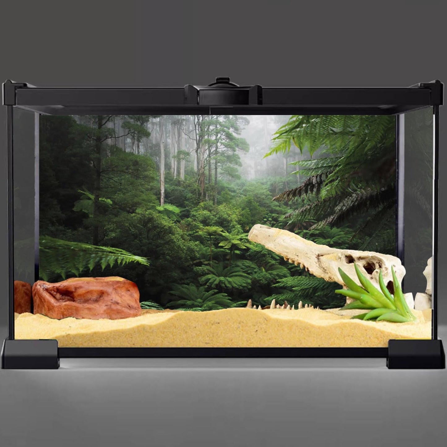 Foggy Forest Terrarium Background Green Tree Reptile Habitat Background Tropical Rainforest Aquarium Background 48X24 Inches