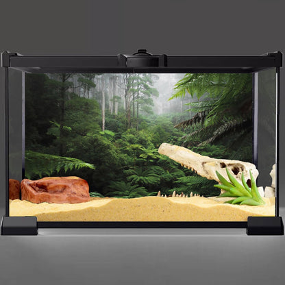 Foggy Forest Terrarium Background Green Tree Reptile Habitat Background Tropical Rainforest Aquarium Background 48X24 Inches