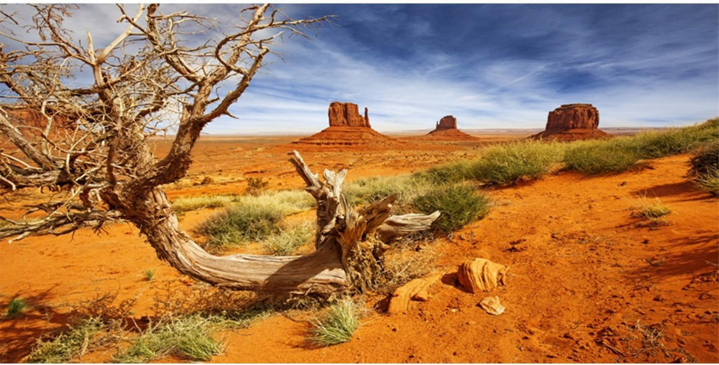 60X24 Inches Reptile Habitat Background Orange Desert Terrarium Background Durable Polyester Background
